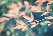 伊比利亚战车决战高山雄鹰：谁能主宰命运，谁将黯然离场？