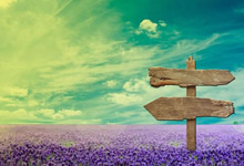 浙江男篮喜获关键胜利，冲向榜首